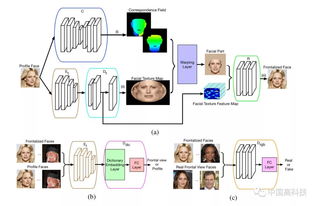 中科院科學家在生成對抗網(wǎng)絡人臉識別領域取得突破性進展