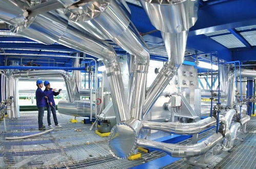 心動龍江，共贏未來 亞布力之夜點亮計算機網絡科技新篇章